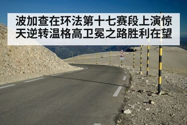 波加查在环法第十七赛段上演惊天逆转温格高卫冕之路胜利在望